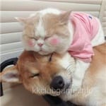 Avatar of Nimra Hussain